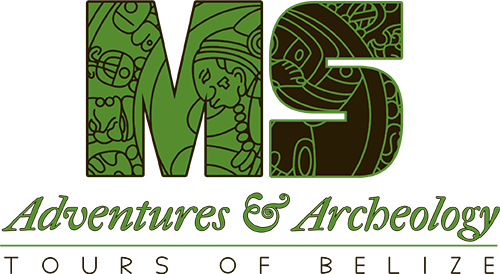 M&S Adventure & Archeology Tours